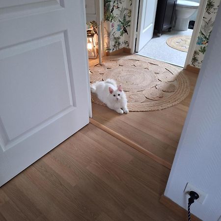 Chambre Climatisee Au Coeur De Brive Avec Televiseur Connecte Wifi Netflix Luaran gambar