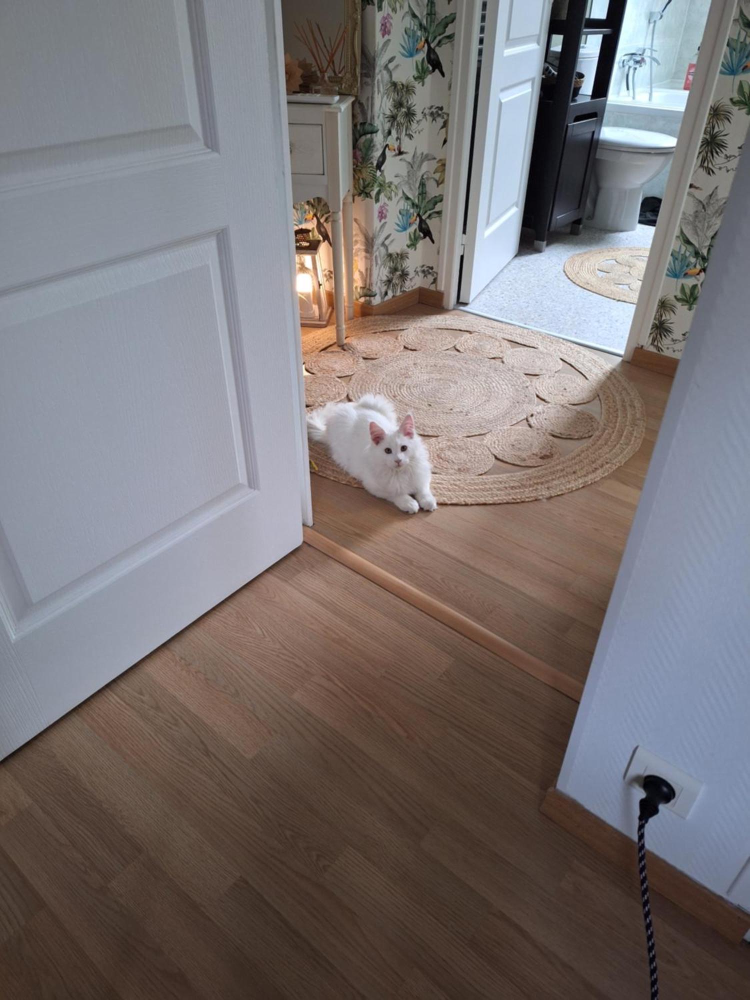 Chambre Climatisee Au Coeur De Brive Avec Televiseur Connecte Wifi Netflix Luaran gambar